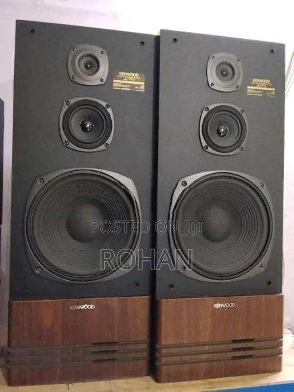 Kenwood 12" speaker