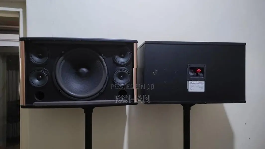 Karaoke speaker