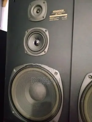 Kenwood 12" speaker