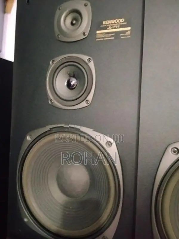 Kenwood 12" speaker