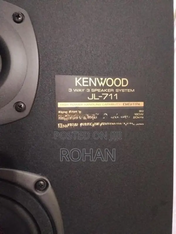 Kenwood 12" speaker