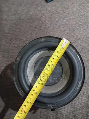 speaker