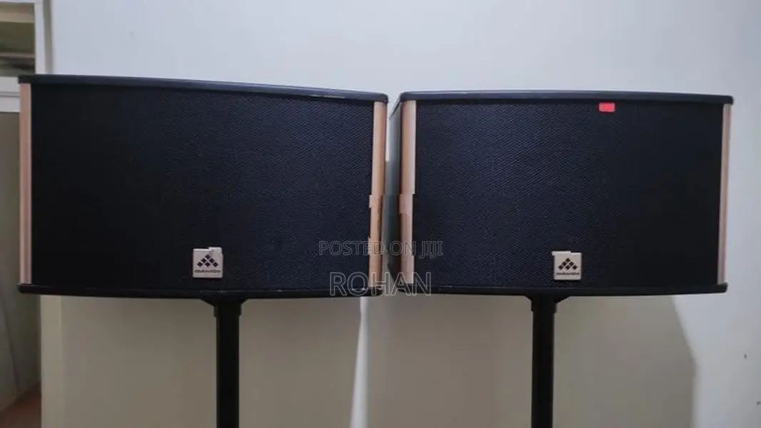 Karaoke speaker