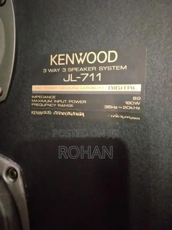 Kenwood 12" speaker