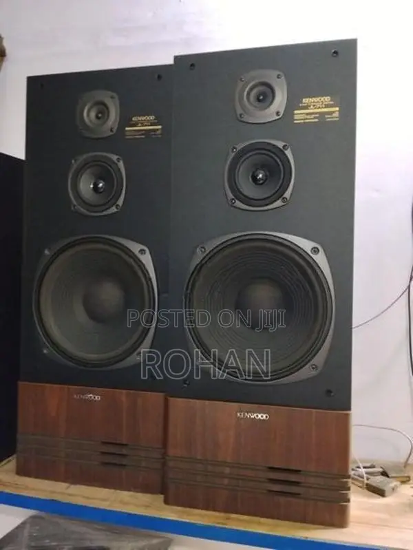 Kenwood 12" speaker
