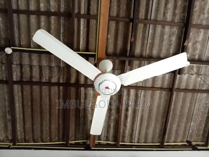 Fan used