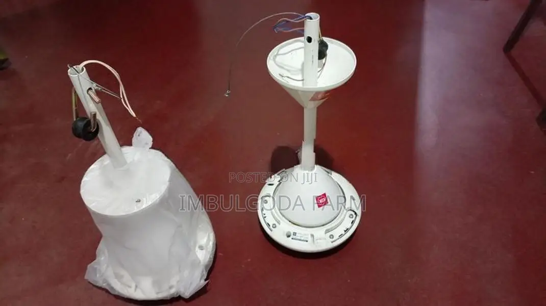 Fan used