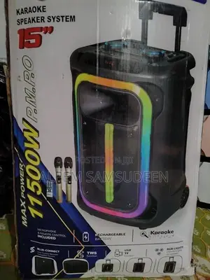 RI SONIC