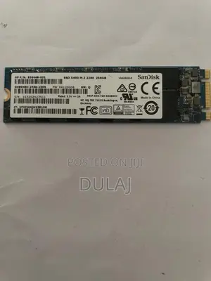 SanDisk 256GB M.2 2280 SATA SSD ⁠