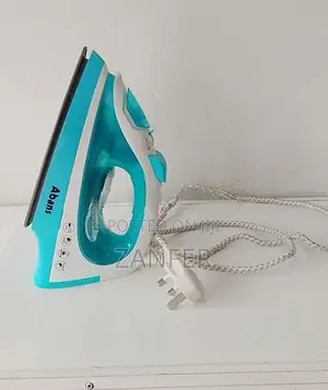 Steam Iron