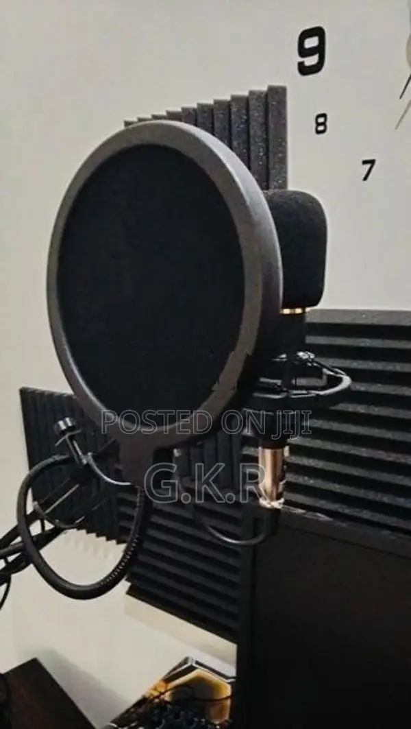 Professionel Studio Microphone with Sound Card