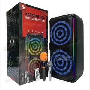 KTS 1912 Party Box with Mic