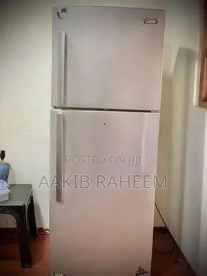 Samsung Double Door Refrigerator