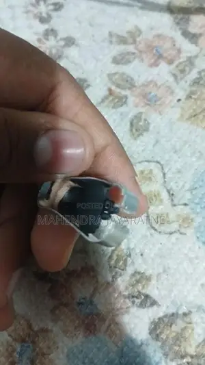 Samsung S Pen Pro