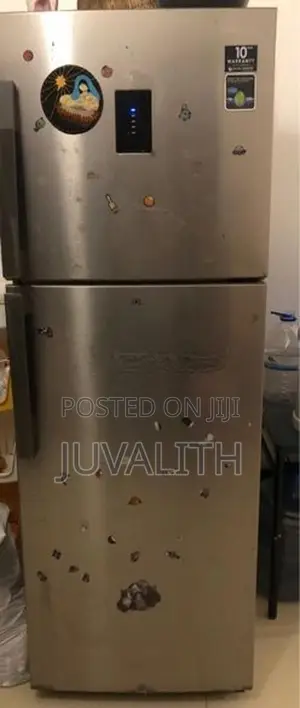 Double Door Inverter Fridge