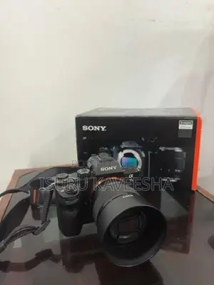 Sony A7ii with 50mm 1.8 lens