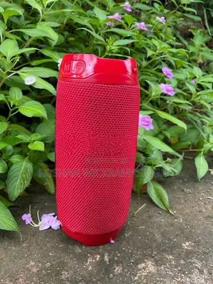 JBL Pulse 4 Style Bluetooth Speaker – Red