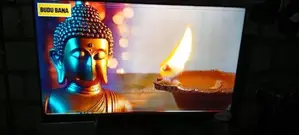 Hisense 55 inch LED Tv