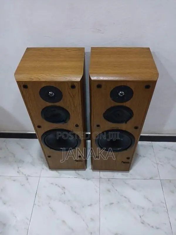 Infinity Speakers
