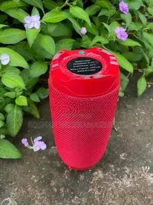 JBL Pulse 4 Style Bluetooth Speaker – Red