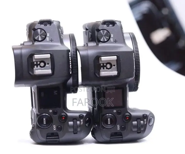 Canon R Body