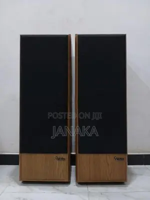 Infinity Speakers