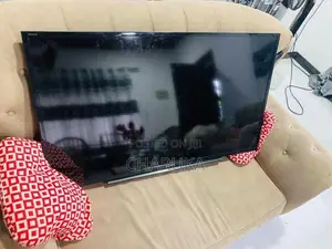 Sony 41” TV
