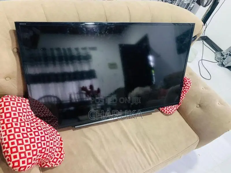 Sony 41” TV