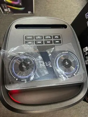 Ravo 815 Party Box with 2 Mic