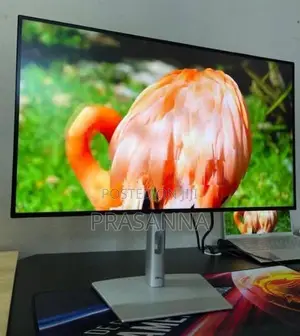 Dell UltraSharp 24.9 inch IPS frameless Type C monitor