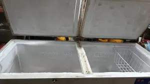 575L Double Door Haier Chest Freezer