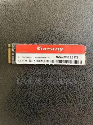 1TB NVME SSD