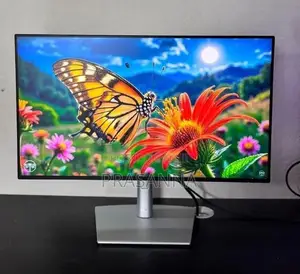 Dell UltraSharp 24.9 inch IPS frameless Type C monitor