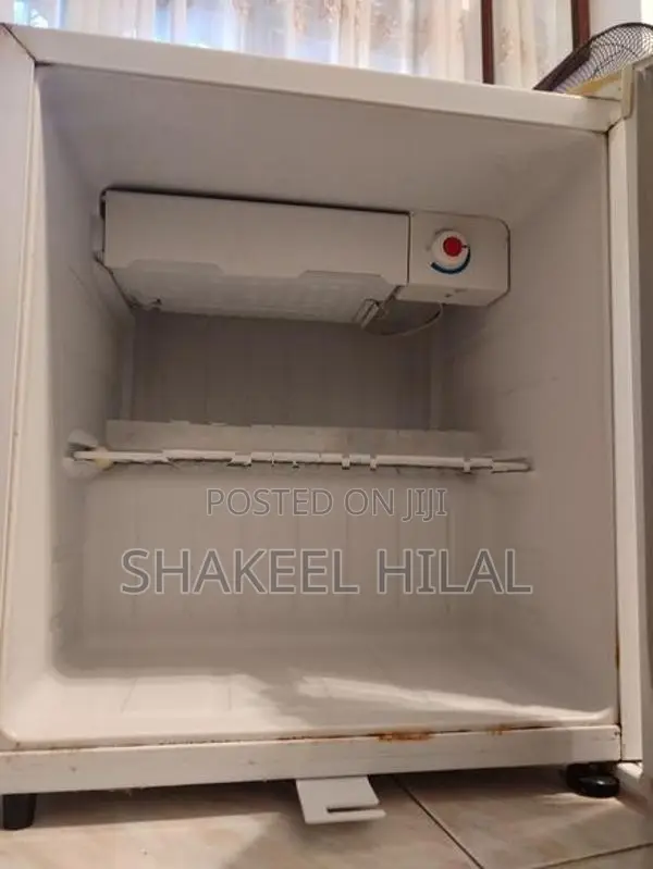 Mini refrigerator