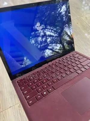 Surface 1