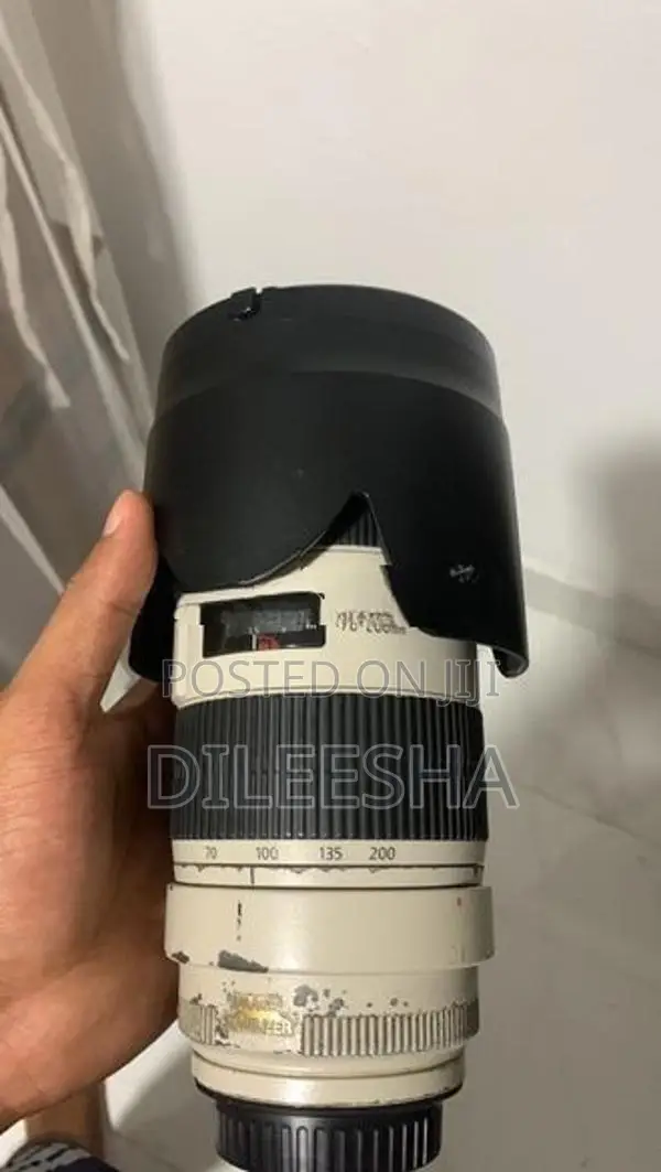 Canon 70-200 Lens