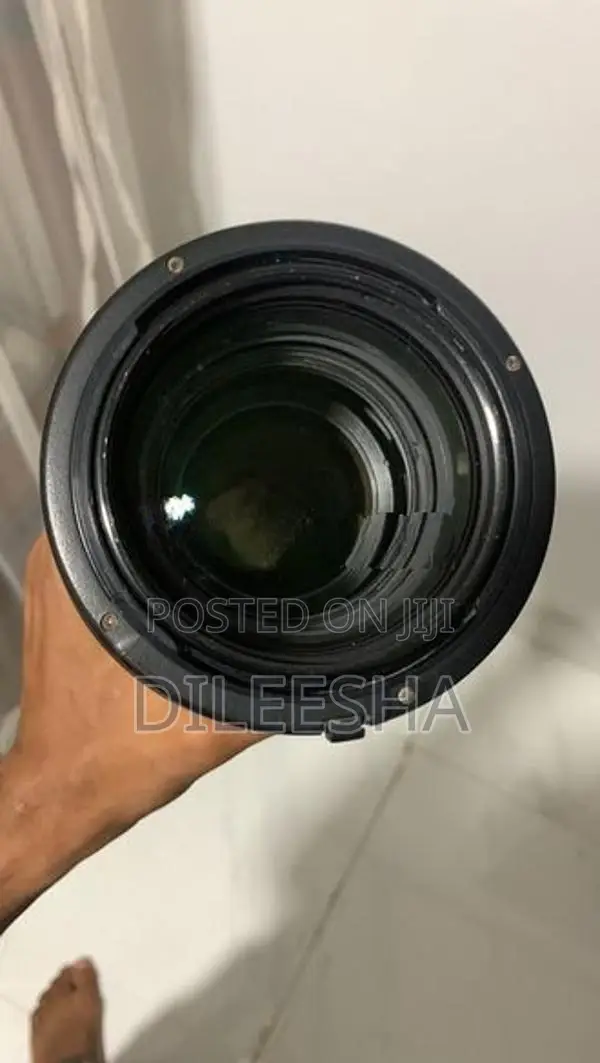 Canon 70-200 Lens