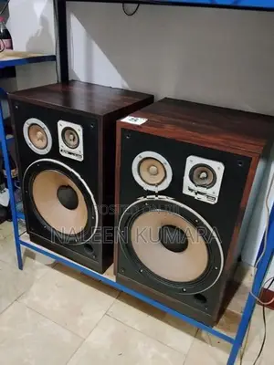 Aurex 15" vintage speaker