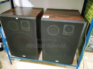 Aurex 15" vintage speaker