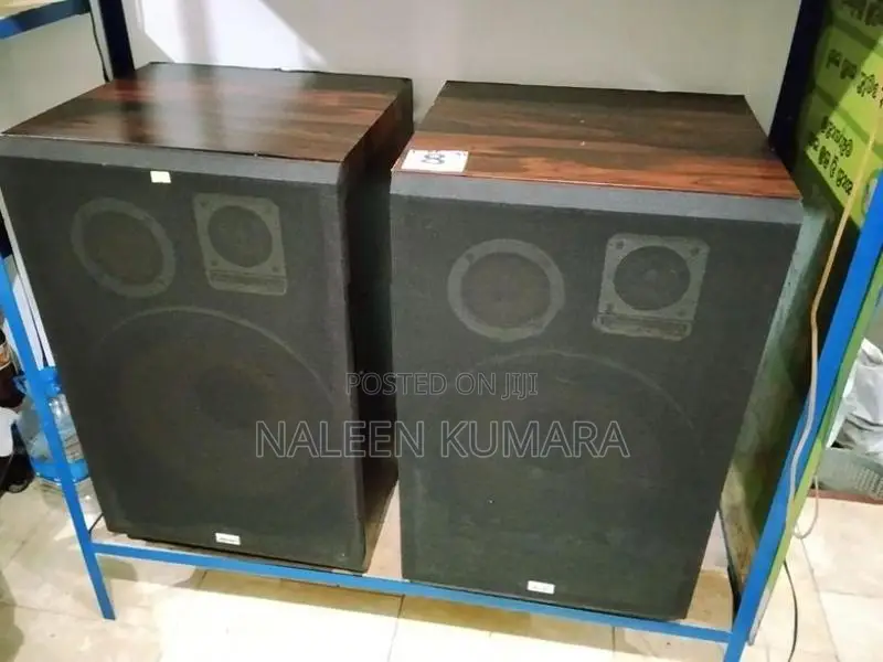 Aurex 15" vintage speaker
