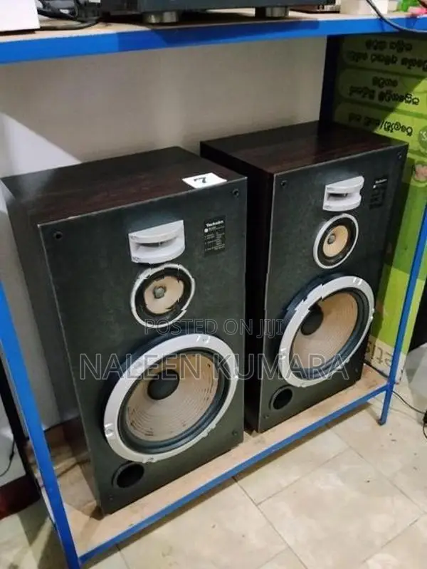 Technics 12" speaker