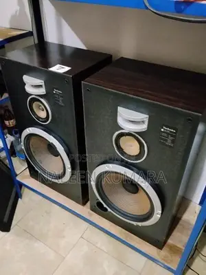 Technics 12" speaker