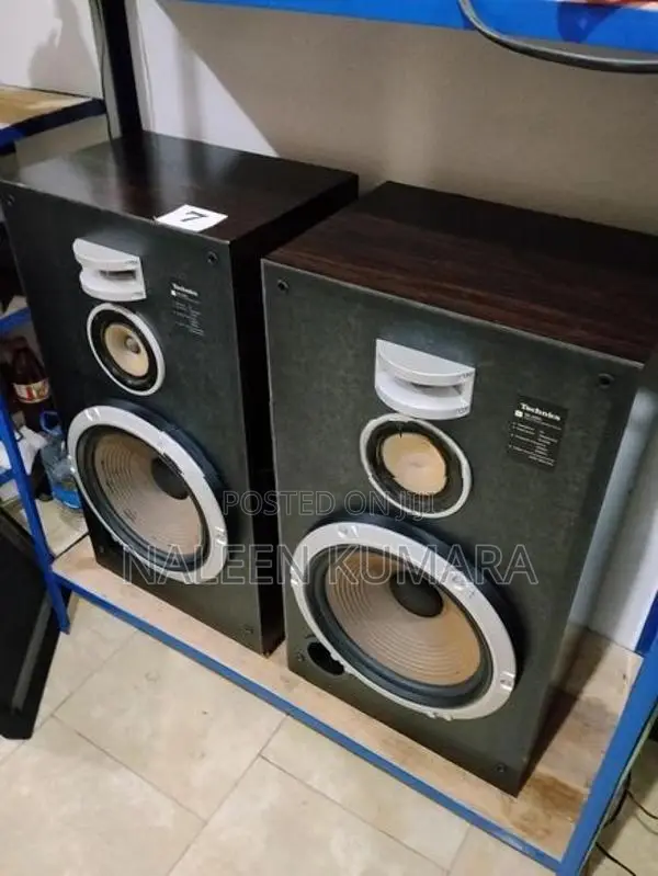 Technics 12" speaker