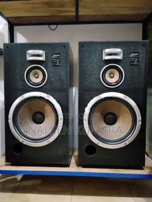 Technics 12" speaker