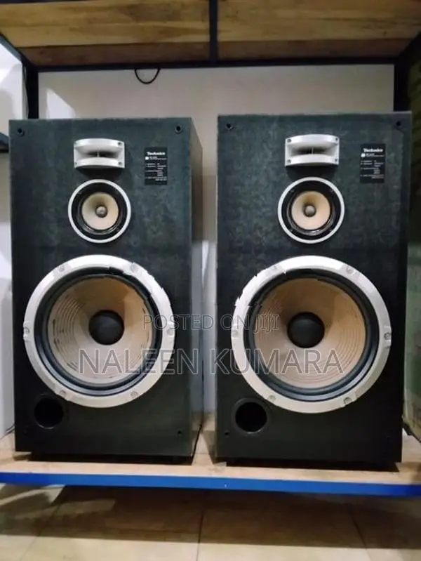 Technics 12" speaker