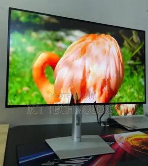 Dell UltraSharp 24.9 inch IPS frameless Type C monitor