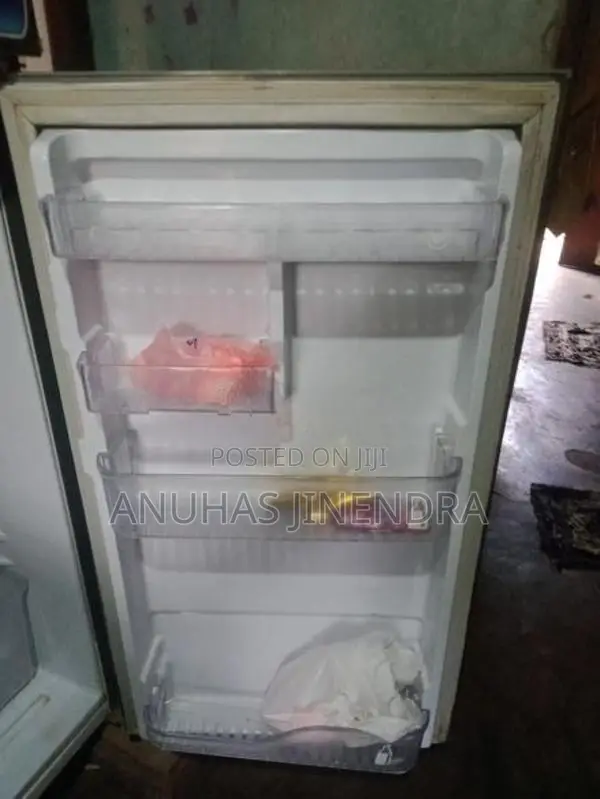 Singer Fridge