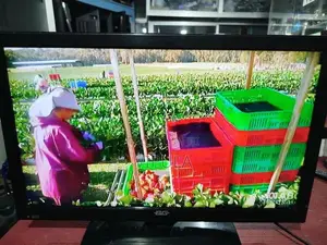 24 LED TV