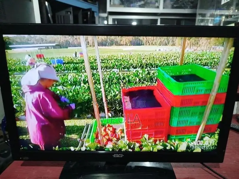 24 LED TV