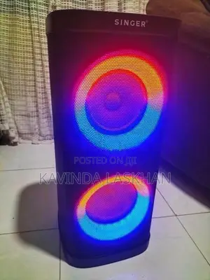 Singer Portable Party Speaker